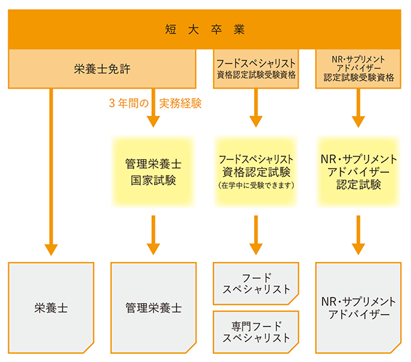 資格取得までのフロー