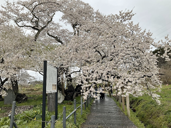 写真②キャプション