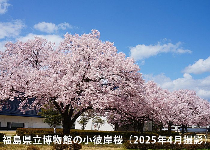 05_20250929.jpg