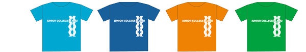 t_shirt2013.png